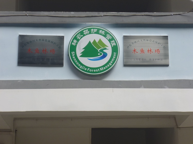 小当阳管理所南溪护林站
