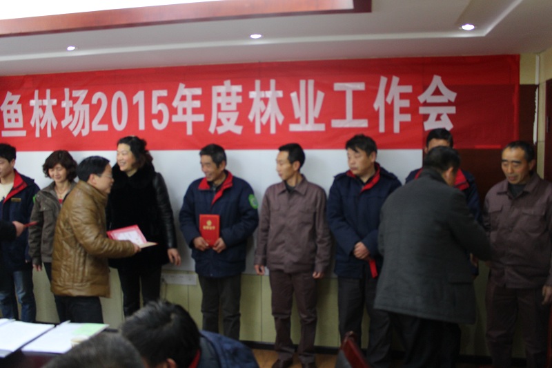 受表彰的先进单位和个人