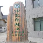 ֳ羰